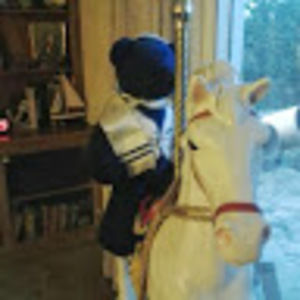 Meet your Posher, Sam